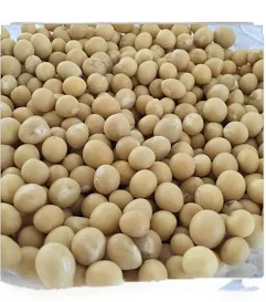 Bambara Beans